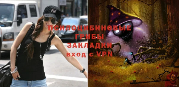 амф Надым