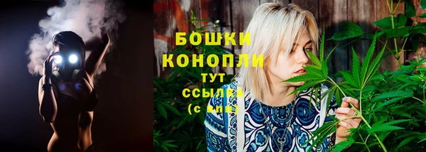 амф Надым